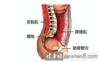 ļѵCore exercisesȫ